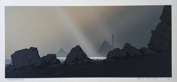 Winter Light, Oakura Coast